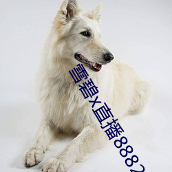 雪(雪)碧x直播(播)88822apk