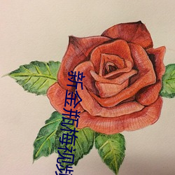 新金瓶梅視頻
