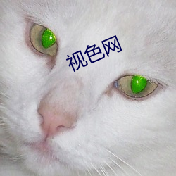 視色網