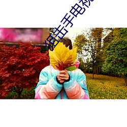 狙击手电(電)视剧全(全)集下载百度云(雲)