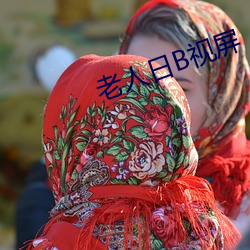 老人日B视屏