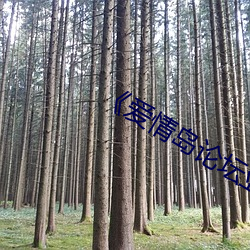 《愛情島論壇亞洲第二路線品牌》
