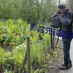 影音(音)先(先)锋雨季