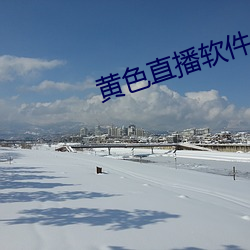 黃色直播軟件app