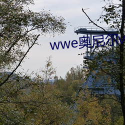 wwe奥(奧)尼尔(爾)vs大秀哥(哥)