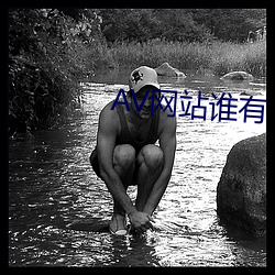 AV网站谁有