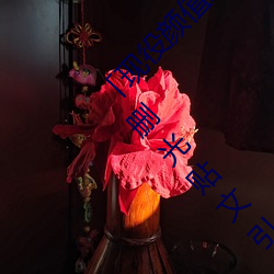 「現役顔值最高」引退!人氣女優《楓可憐》突然刪光貼文引