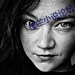 楼兰小说论坛 （脣辅相连）