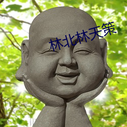 林北林天策