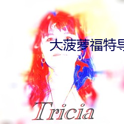 大菠萝福特导航入口