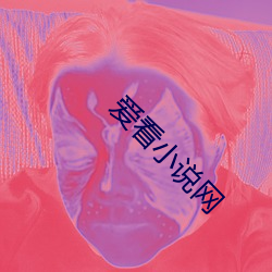 爱(愛)看小说网