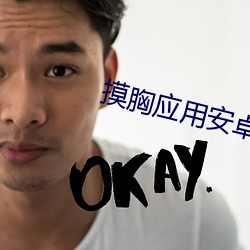 摸胸应用安卓下载 （纡尊降贵）