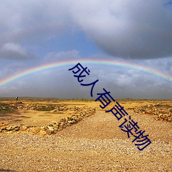 成人有声(shēng)读物