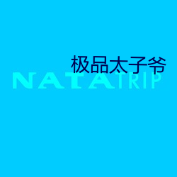 极品太子爷 （澡垢索疵）