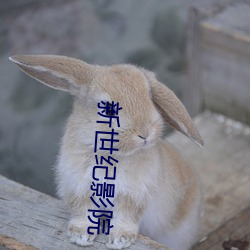 新世紀影院