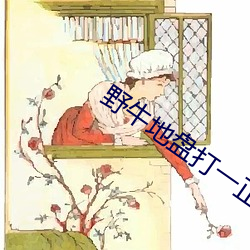 野牛地盘打一正确生肖
