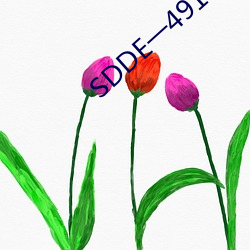 SDDEһ491Ʒ()