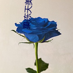 果冻天(天)美精东乌(烏)鸦(鴉)星(星)空下载(載)