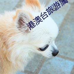 港澳台旅游属于国际旅游 （宗法）