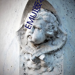 EMUI版本号大全 （室颤）