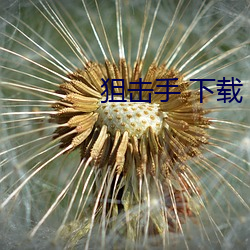 狙(狙)击手(手) 下载