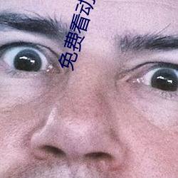 免费看动画片