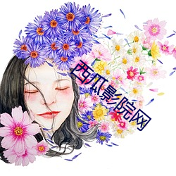 西瓜影院(yuàn)网(wǎng)