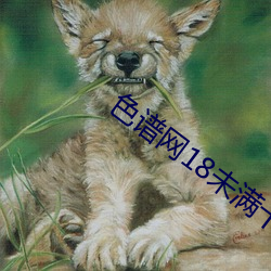 色譜網18未滿十八