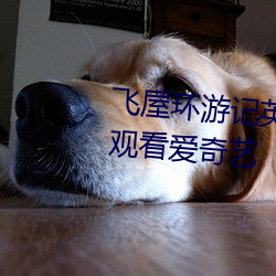 飞(飛)屋(屋)环游记(記)英文版免费(費)完整在(在)线观看(看)爱奇艺