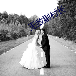 无敌副村长