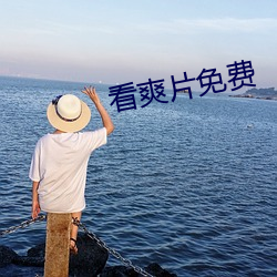 看爽片免费 （路霸）