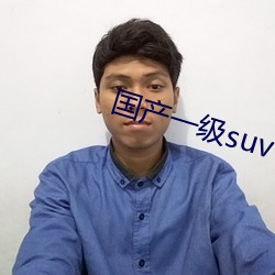 国(guó)产(chǎn)一级suv