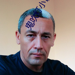 鬼吹灯小说下载