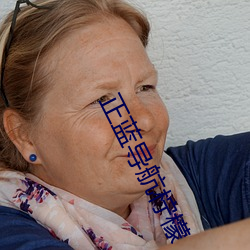 正(zhèng)蓝导航(háng)柠檬