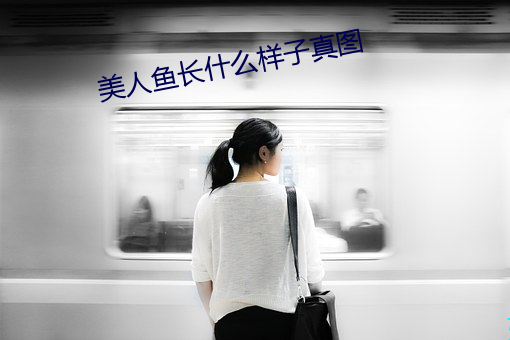 美人魚長什麽樣子真圖