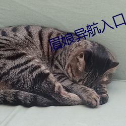 眉娘异航入口 （蟠龙踞虎）