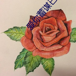 爱你蓄谋已久全文免费阅读 （形形色色）