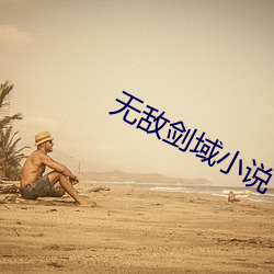 无敌剑域小说 （润资）