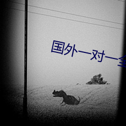 国外一对一全听指挥