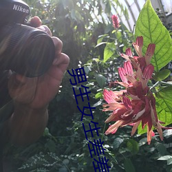 男生女生差差差的画面