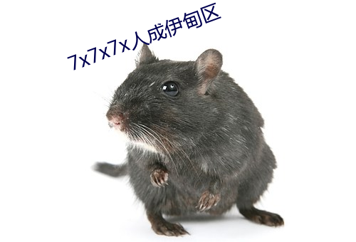 7x7x7x人(人)成伊(伊)甸区