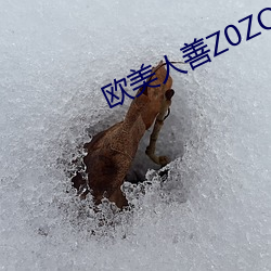 欧美人善Z0ZO性伦交
