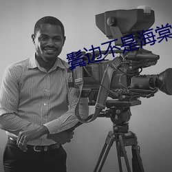 鬓邊不是海棠紅小說