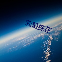 莉哥探花