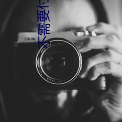 不(不)需要付费的(的)蘑菇视频(頻)app