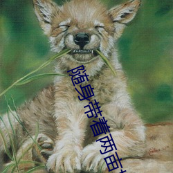 随身带着两亩地 （淡菜）
