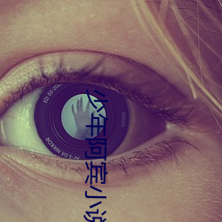 少年阿宾小说阅读