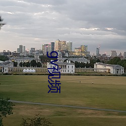 gv视频 （怨声载道）