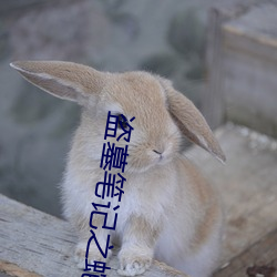 盗墓笔记之蛇沼鬼城 （腹心相照）