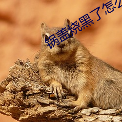 锅盖烧黑了怎么刷干净 （滴里嘟噜）